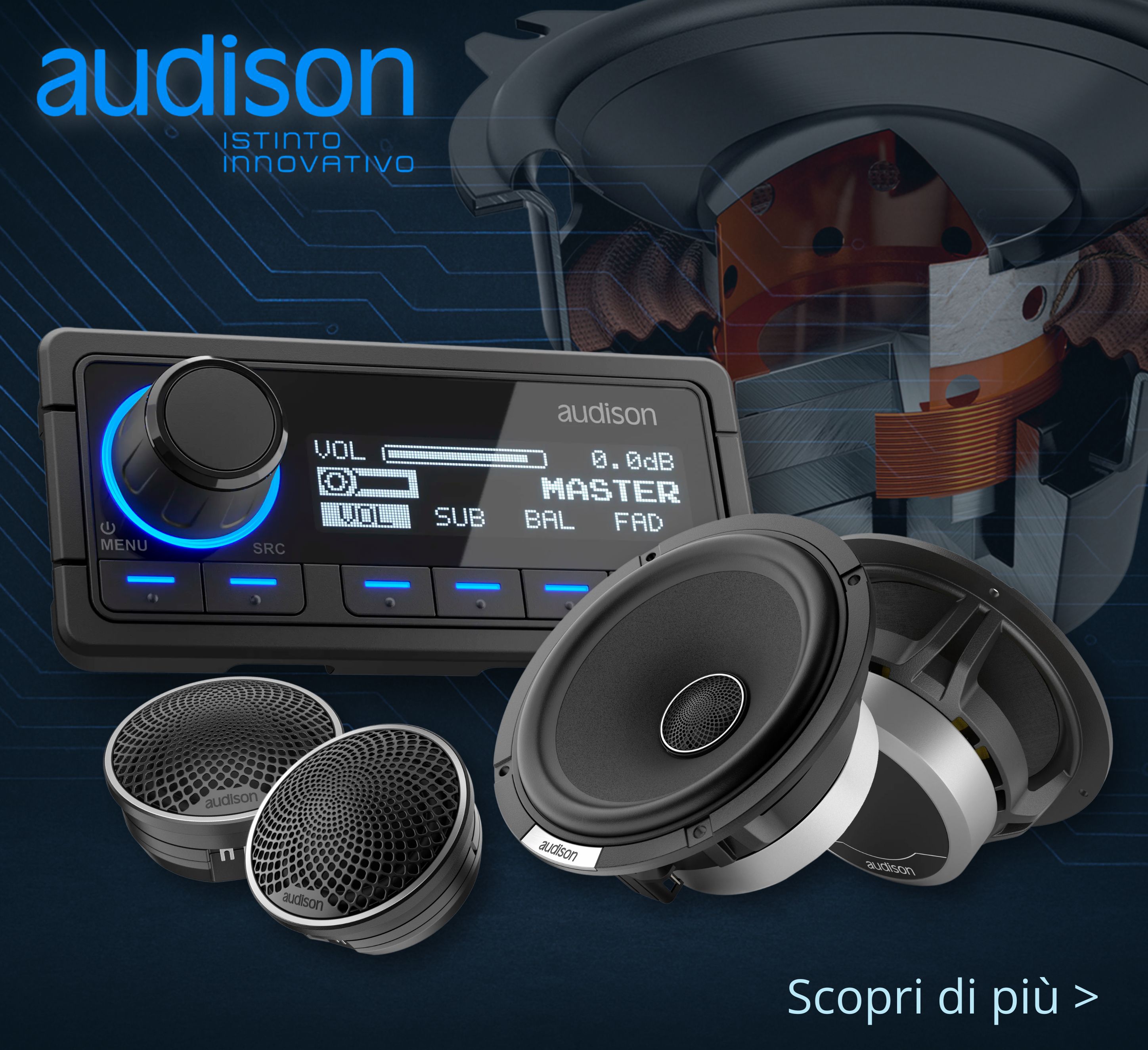 Banner Audison