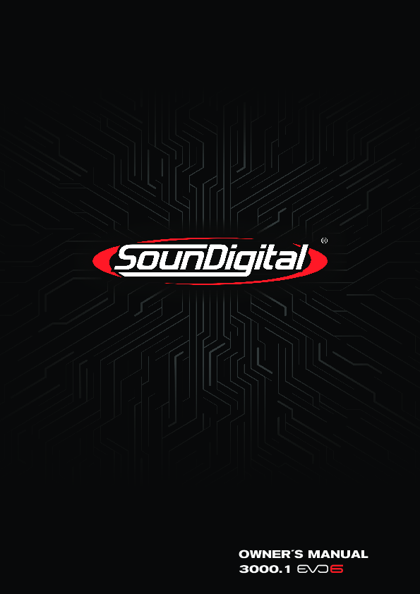 Anteprima PDF non disponibile