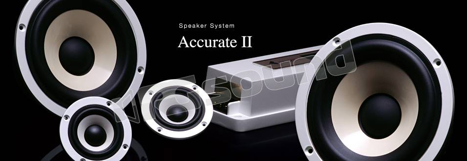 BEWITH Accurate サブウーファーA-180 BEWITH サブウーファー Accurate A-180