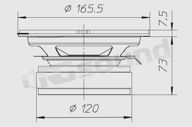 Ciare CW162