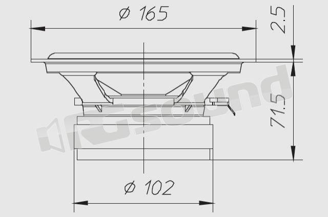 Ciare CW169