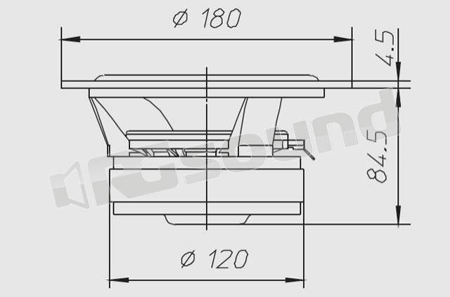 Ciare CW176