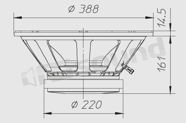 Ciare CW387