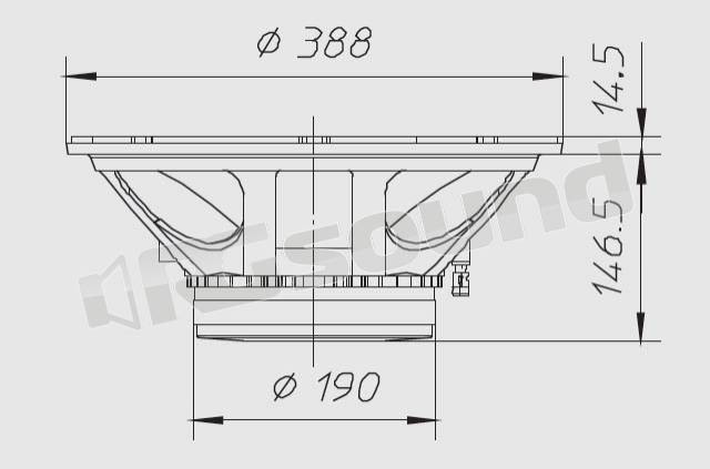 Ciare CW396