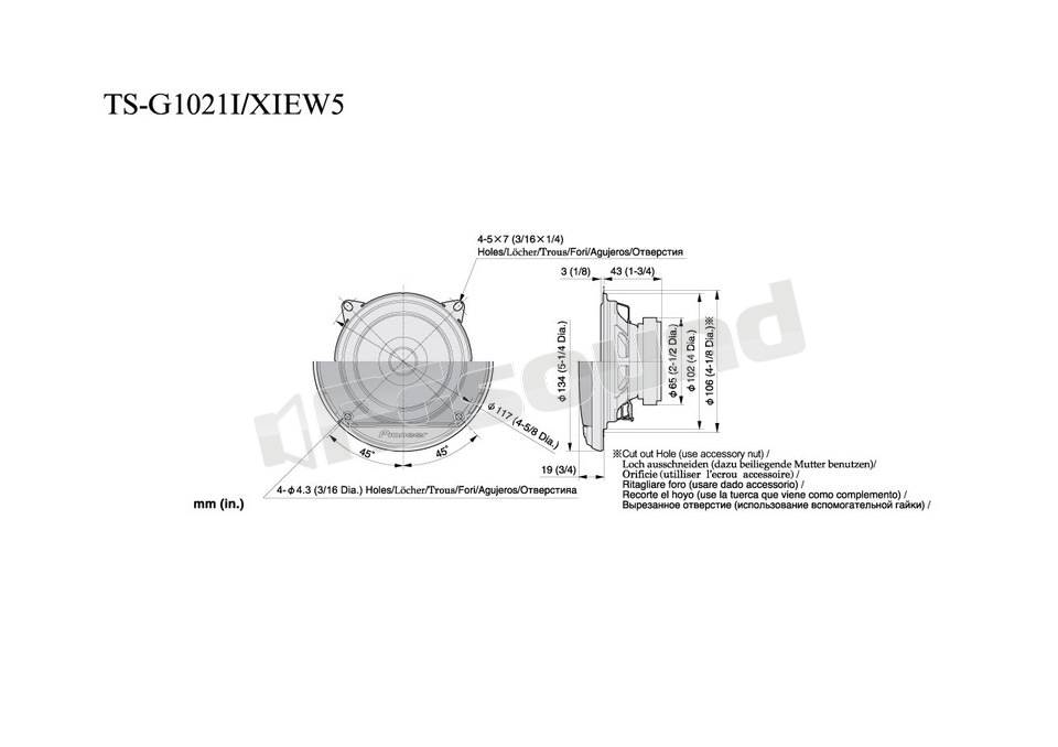 Pioneer TS-G1021i