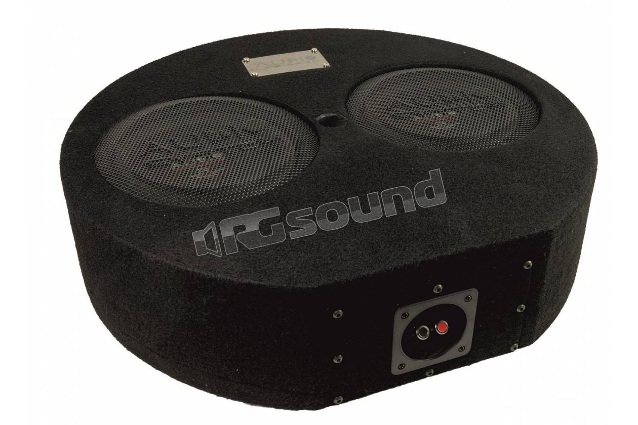 Audio System SUBFRAME R10 FLAT-2 ACTIVE EVO 2