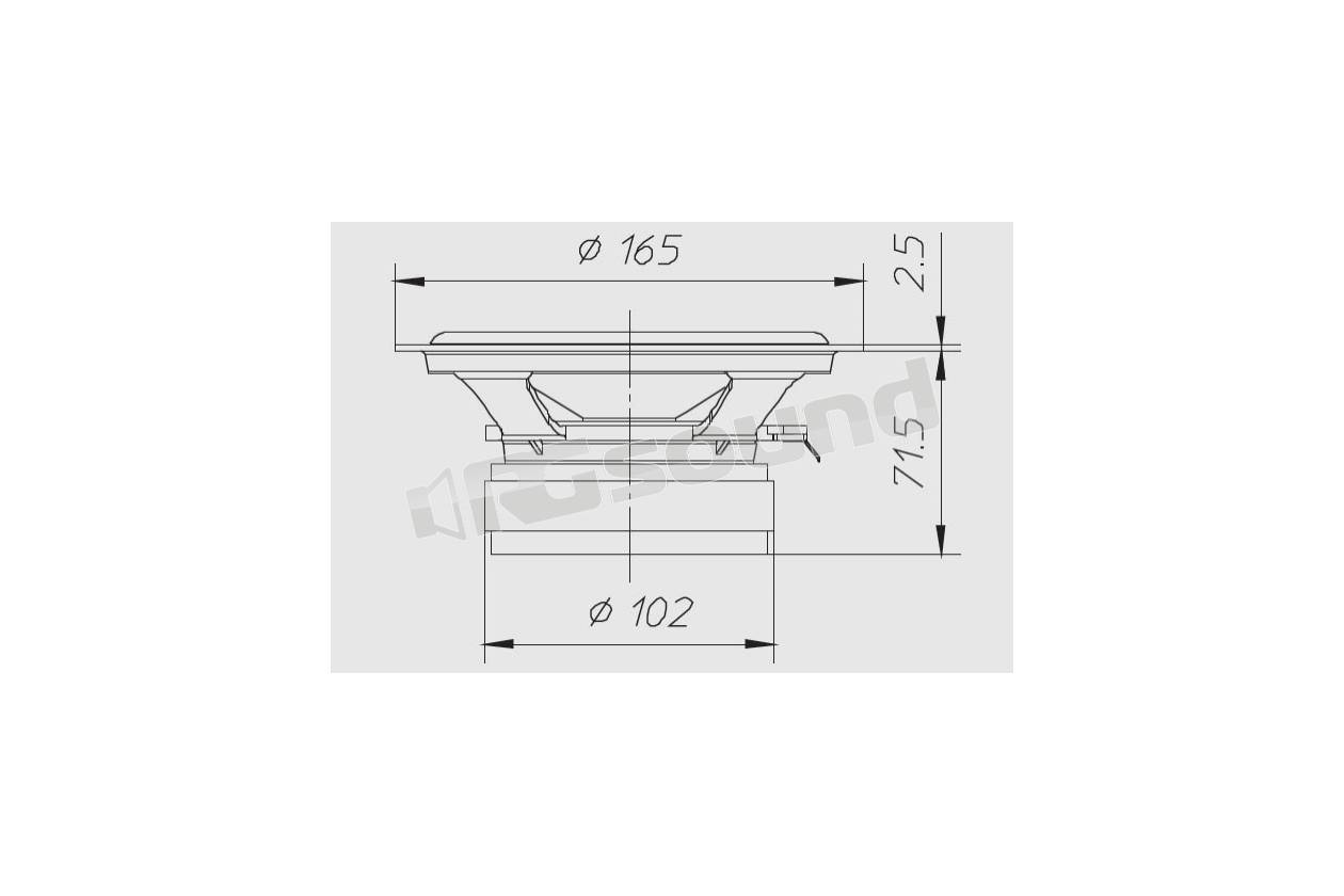 Ciare CW169