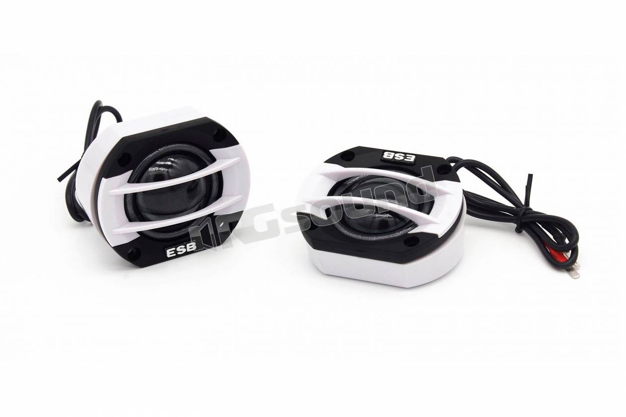 ESB car audio 2.6K2 W