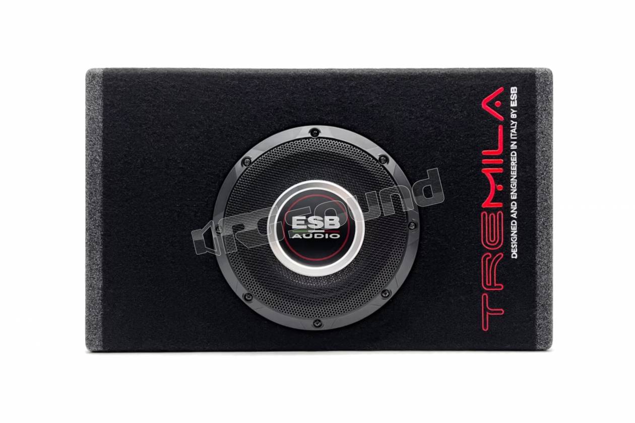 ESB car audio 3.WB6