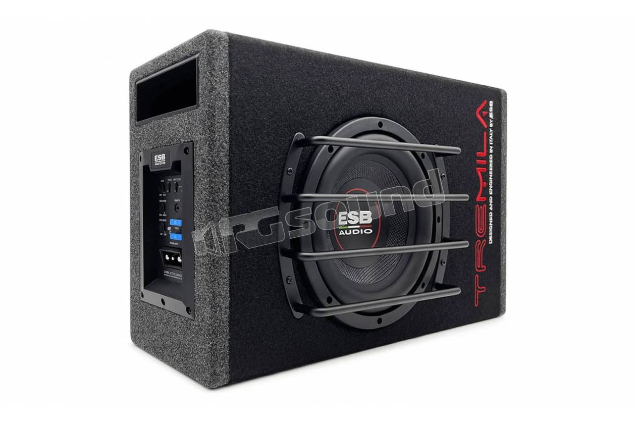 ESB car audio 3.WB8