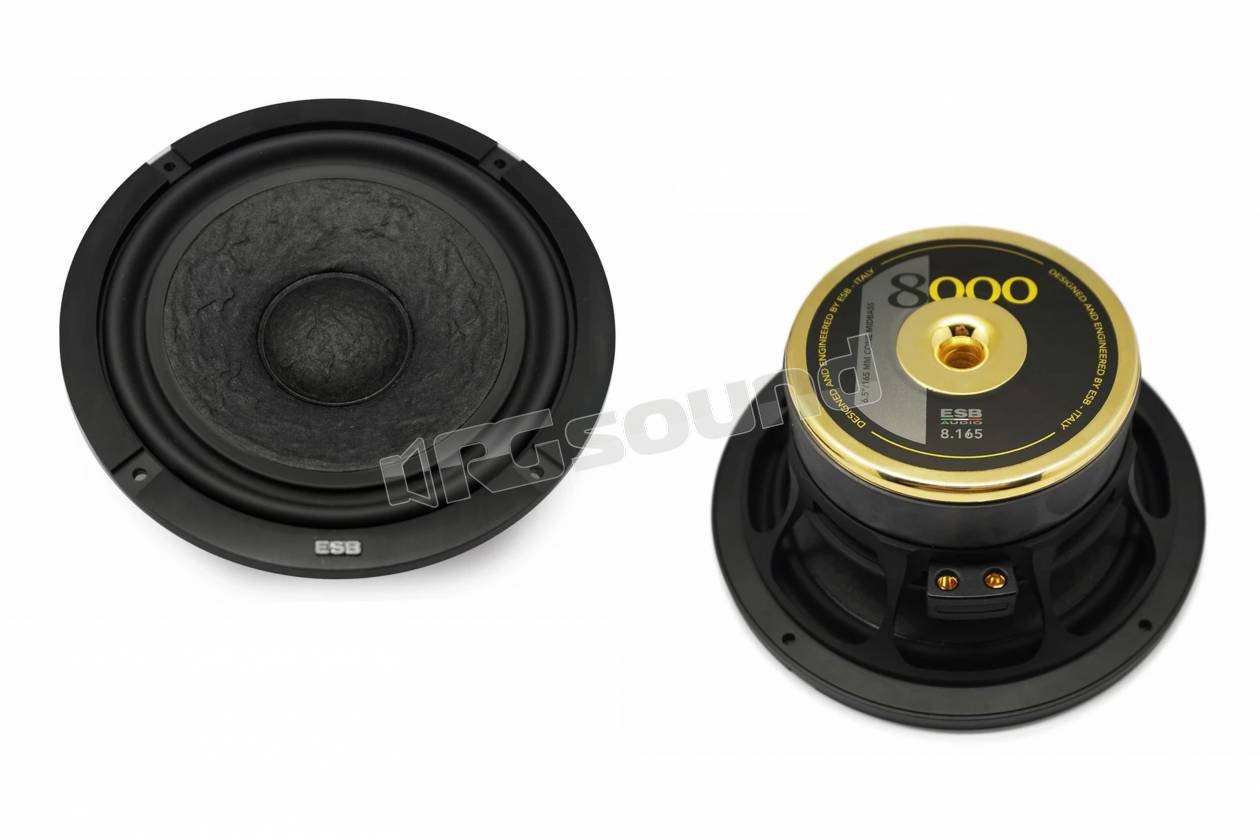 ESB car audio 8.165