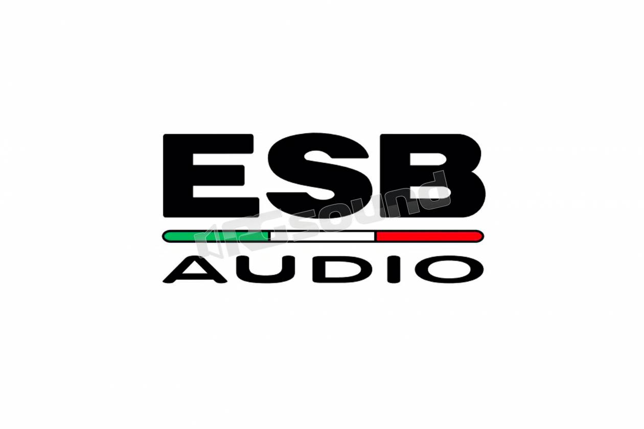 ESB car audio 8.250S