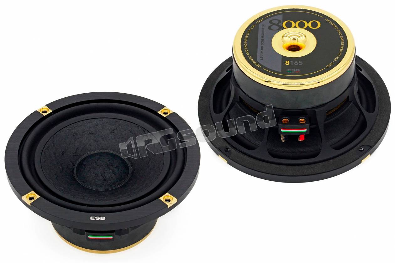 ESB car audio 8.6K3S