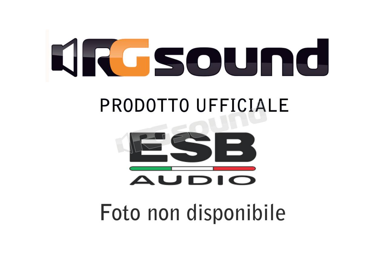 ESB car audio 8.SB