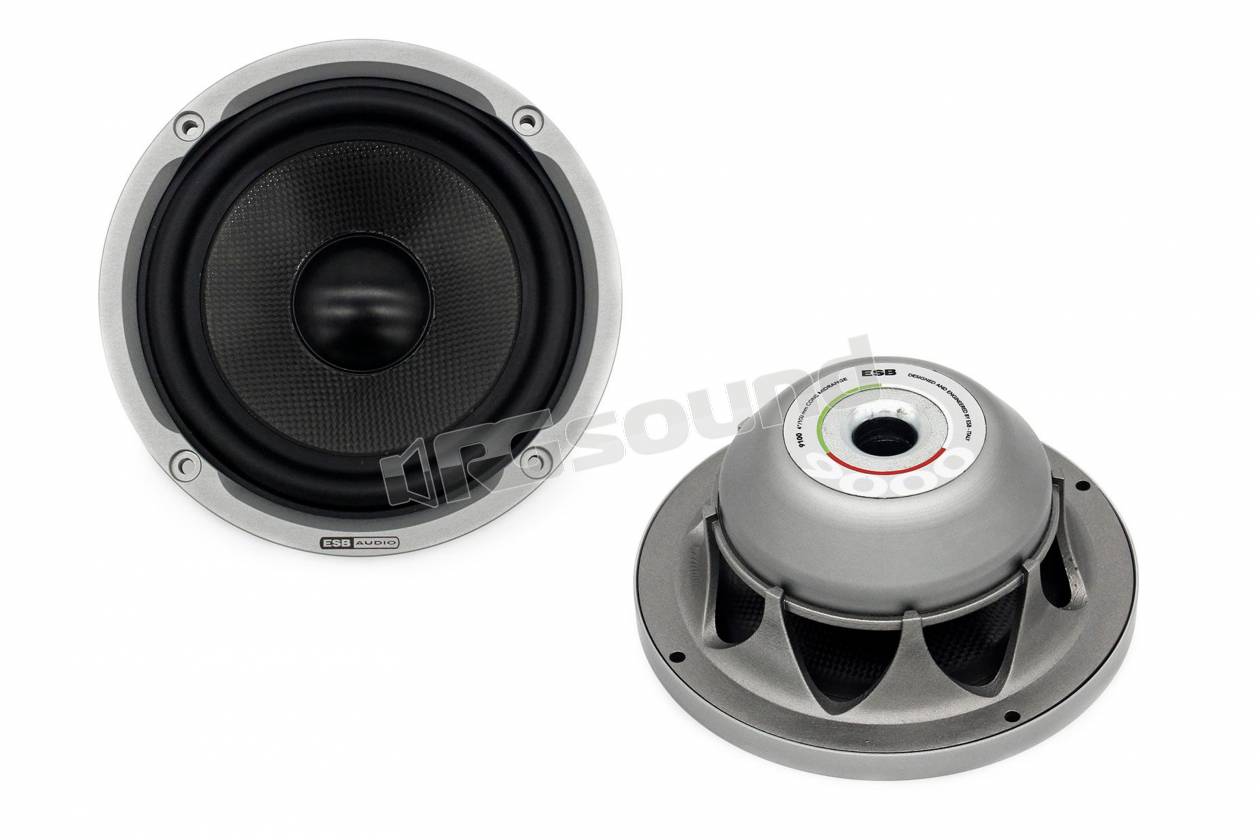 ESB car audio 9.100