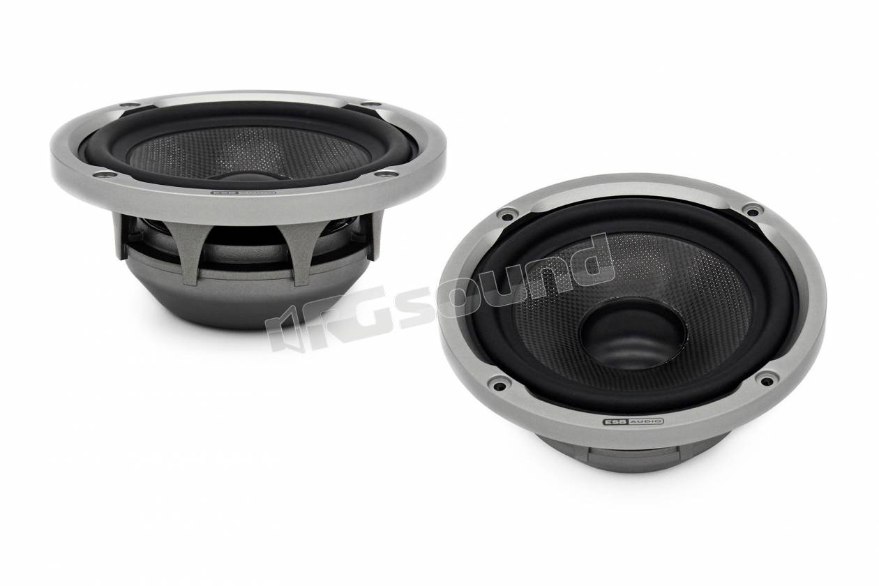 ESB car audio 9.100