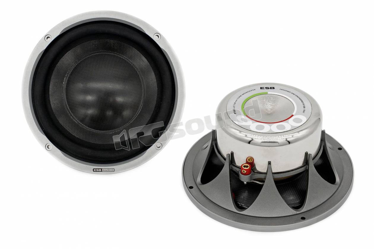 ESB car audio 9.165