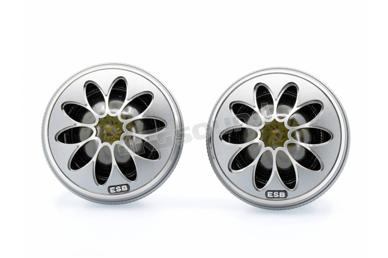 ESB car audio 9.1T-28