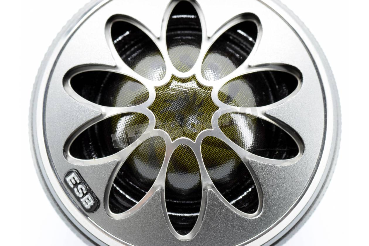 ESB car audio 9.1T-28