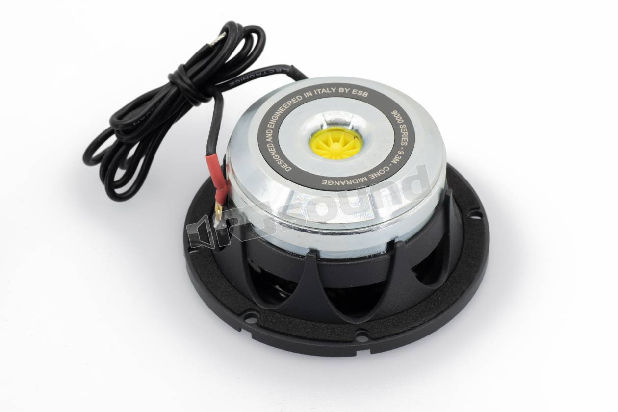 ESB car audio 9.3M