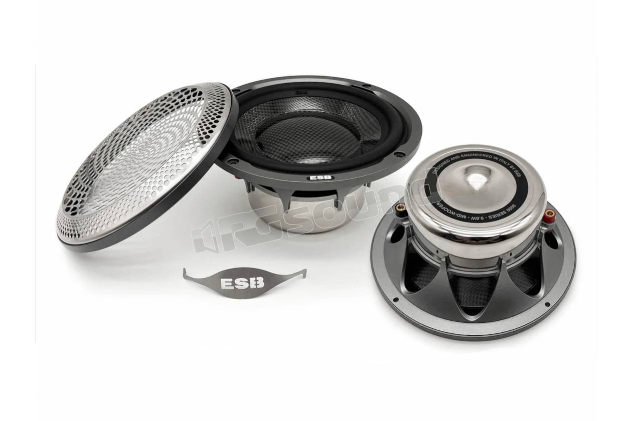 ESB car audio 9.6W