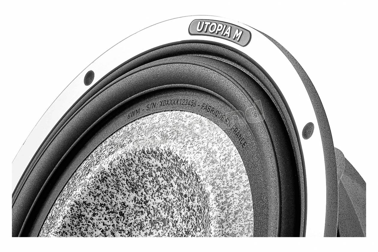 Focal 6 WM