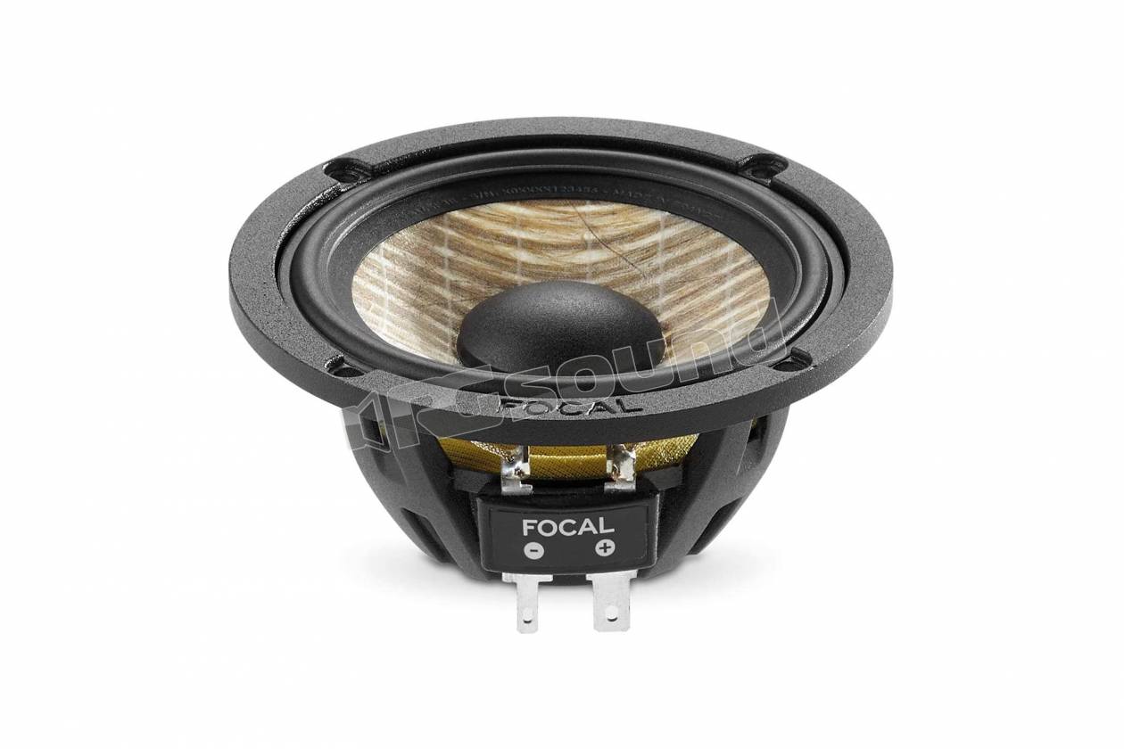 Focal HPVE1148