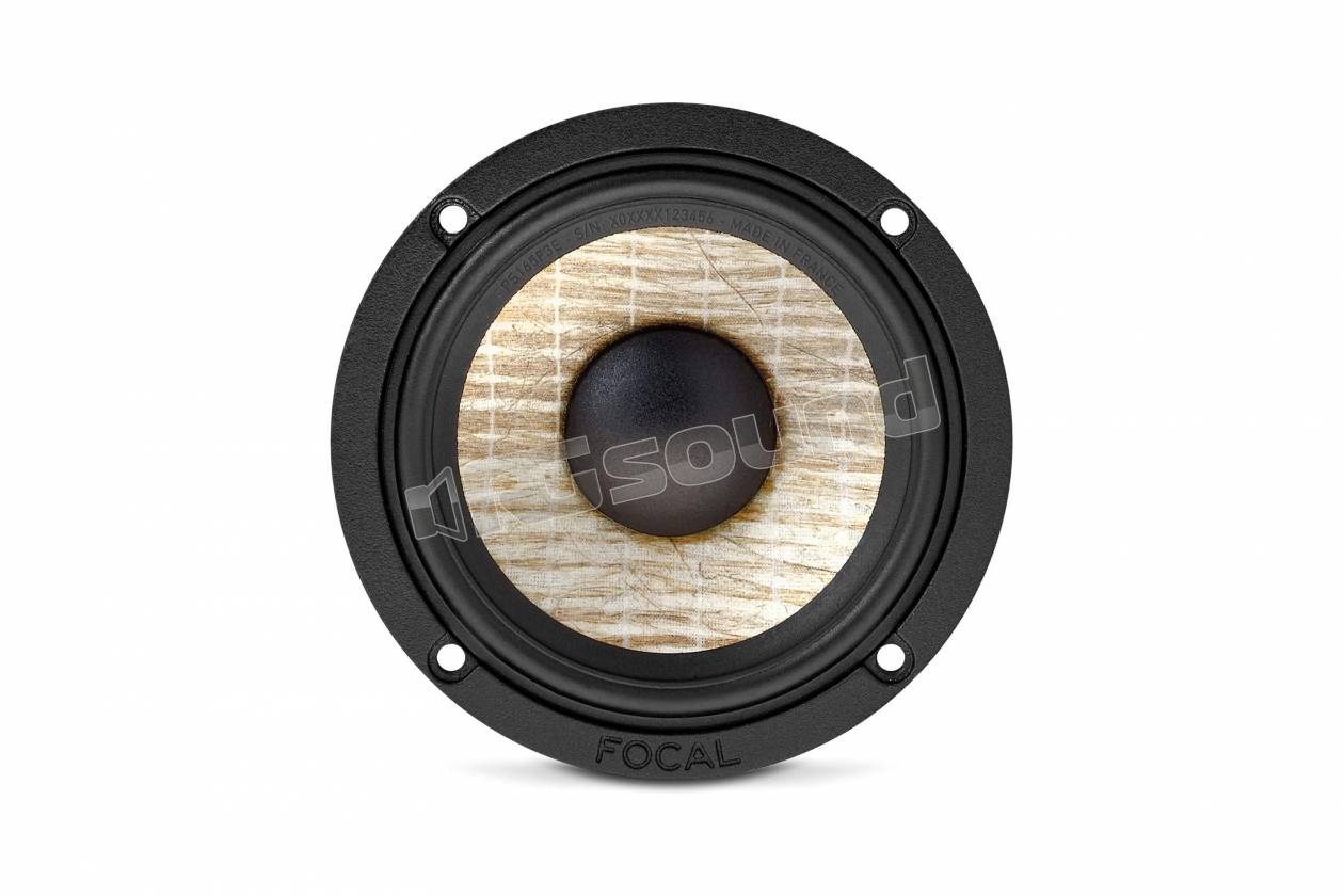 Focal HPVE1148