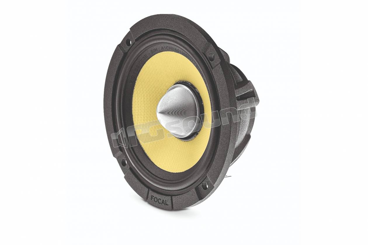 Focal HPVE3020