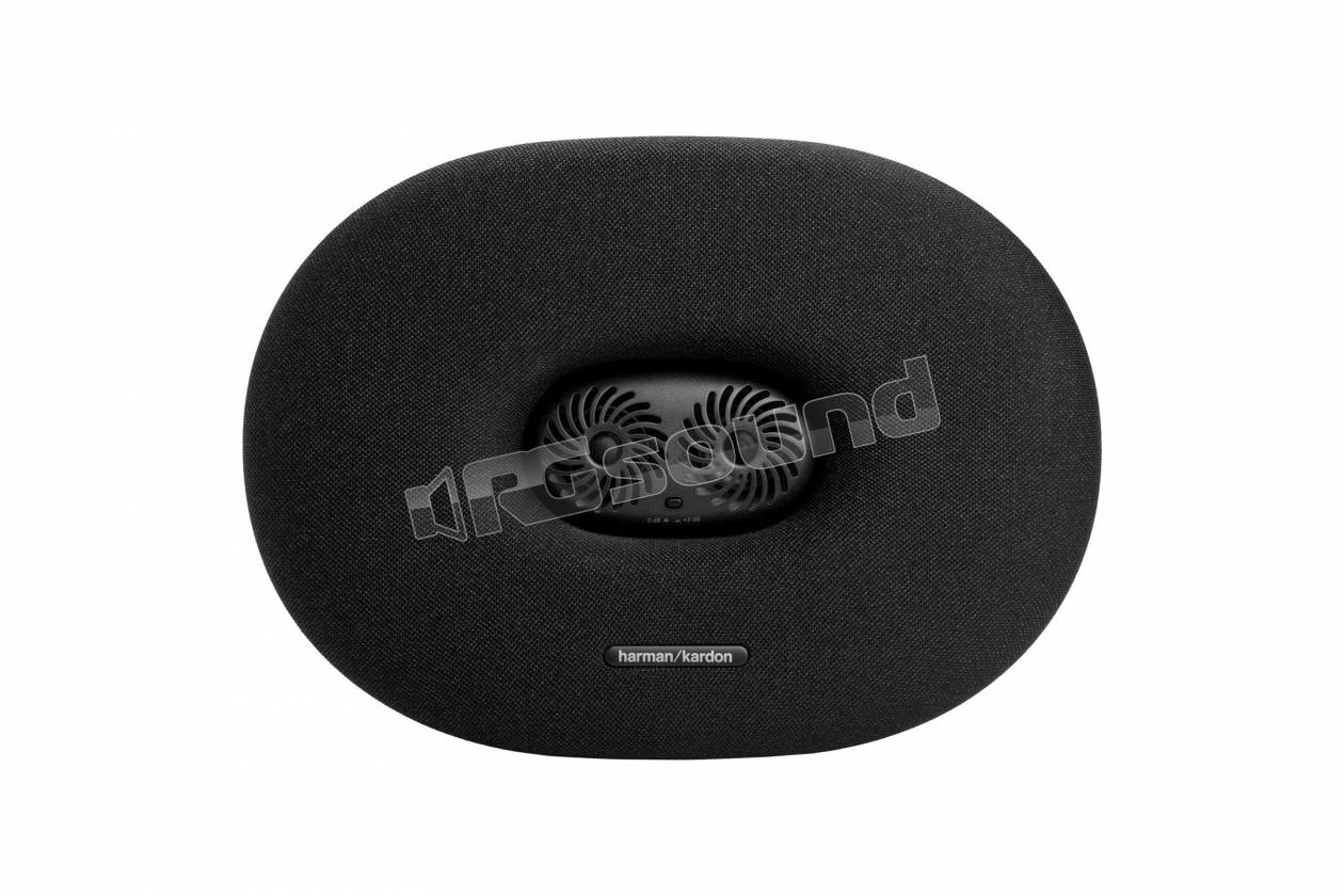 Harman Kardon FIT96M