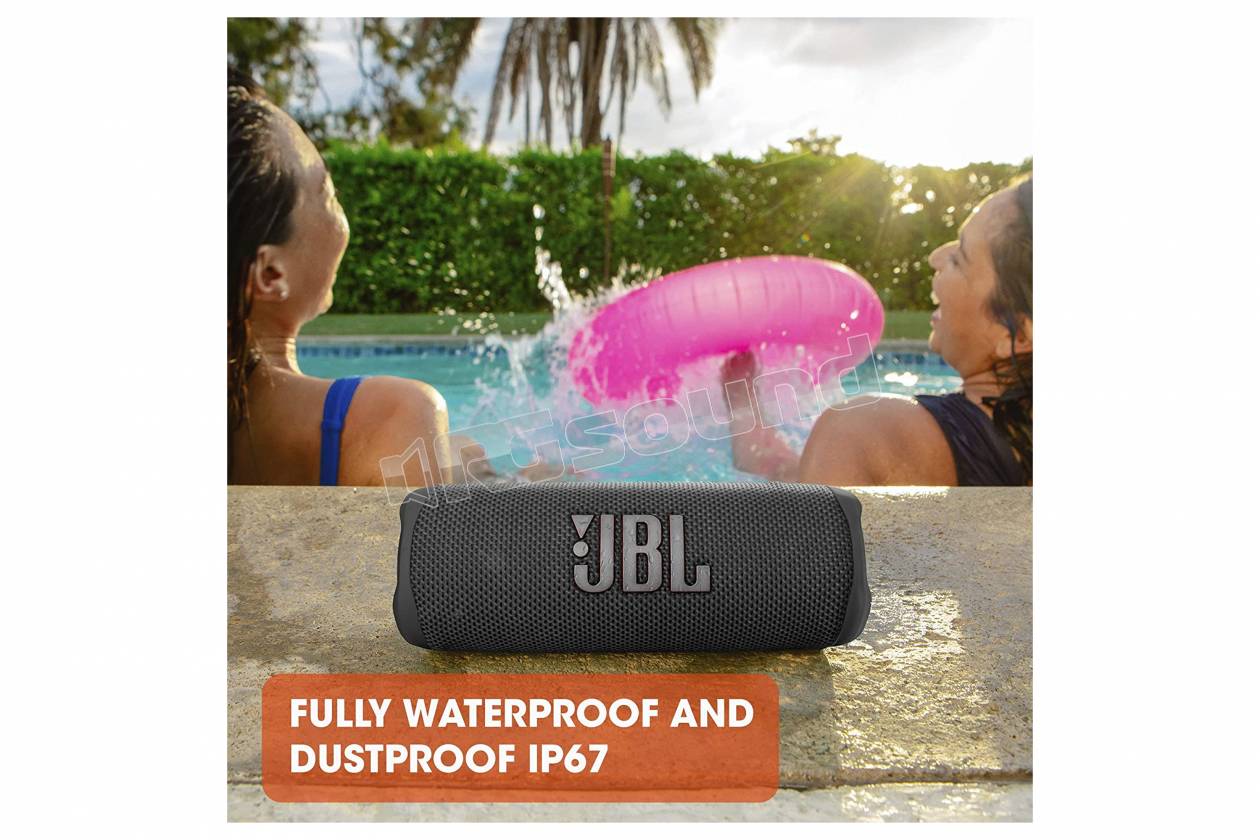 JBL Flip 6