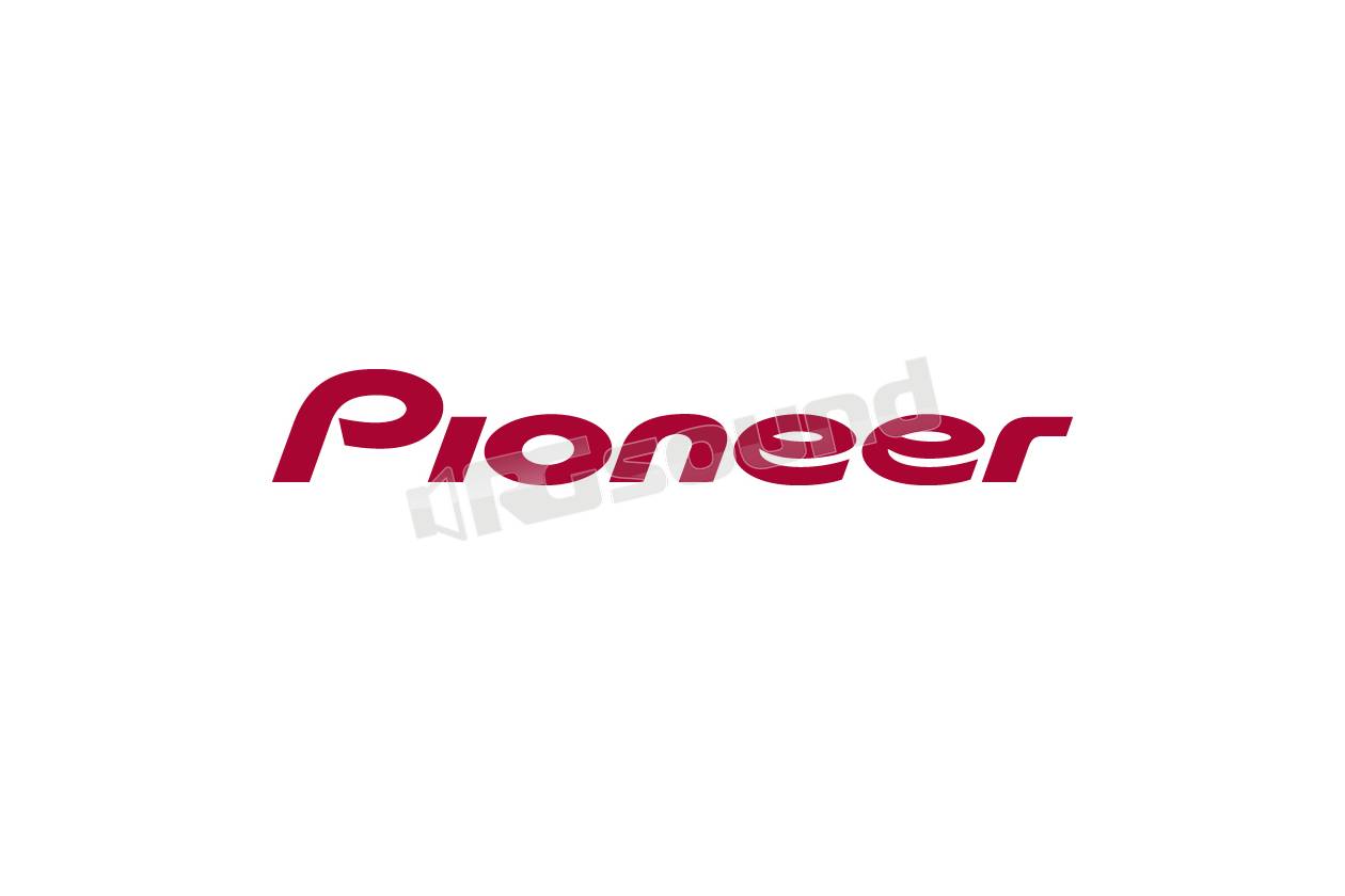 Pioneer CD-RA100-02