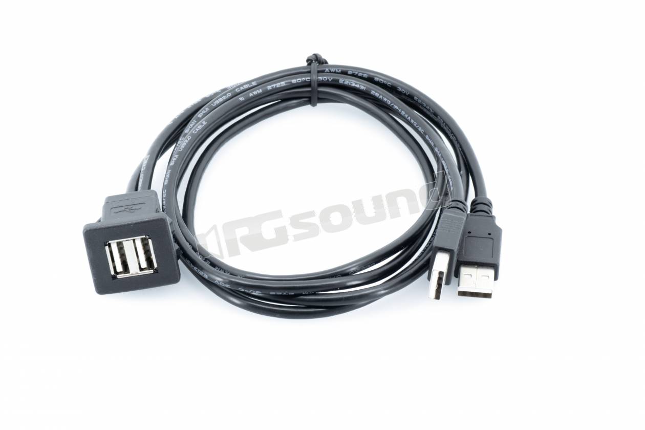 RG Sound Doppia USB unita a pannello con cavi da 100 cm