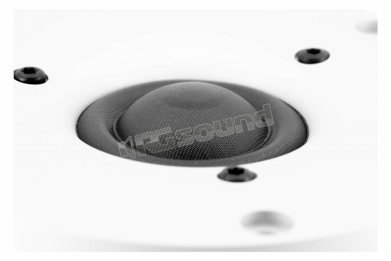 Scan Speak D2904/710002