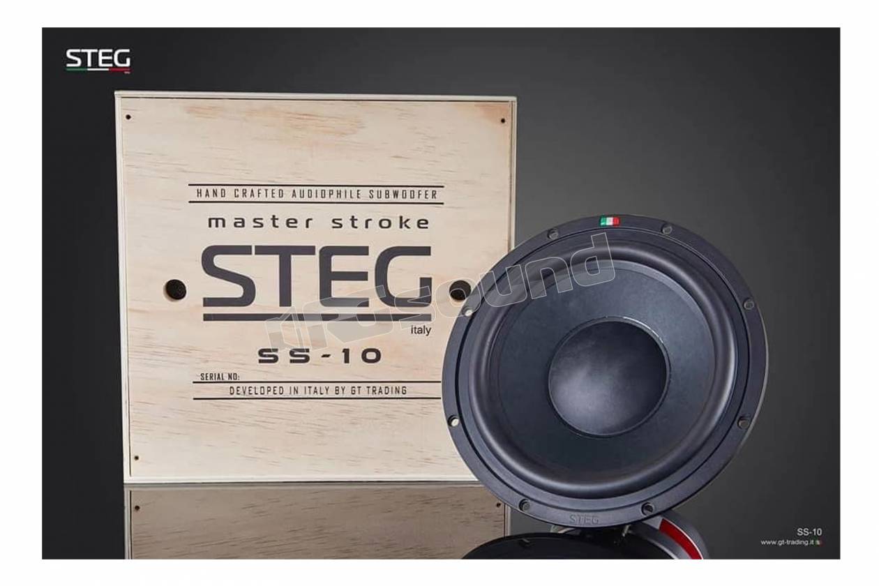 Steg SS-10