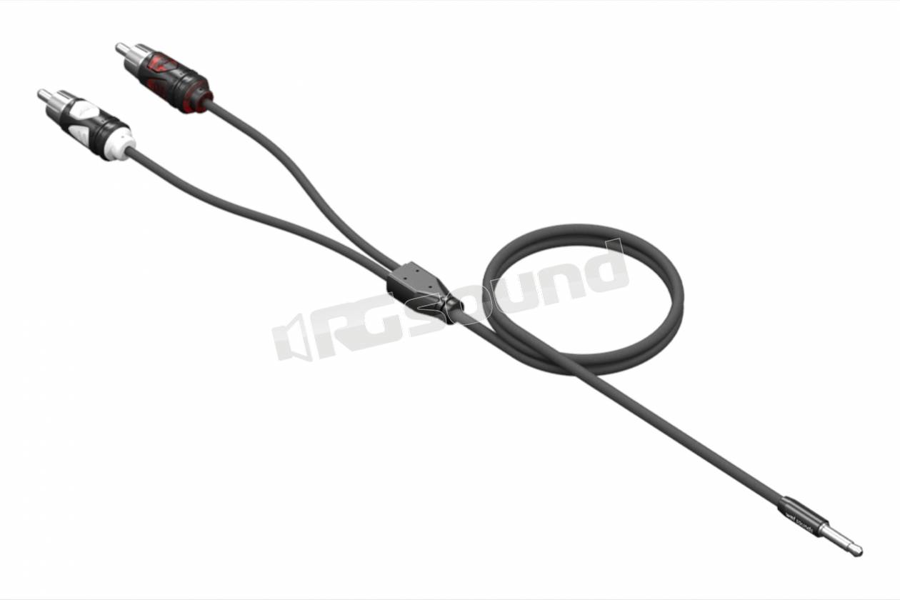 Wet Sounds WWX-RCA-3.5mm 2FT