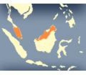 AV Map Mappa Malesia per Geosat 6, Geosat 5, Geosat 4/2C e Geosat 2, Motivo