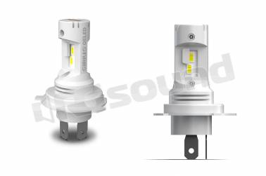 BlackLight XL H419 HLG2