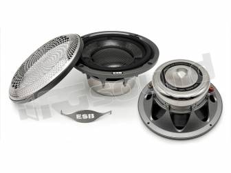 ESB car audio 9.6W