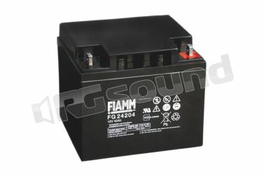 Fiamm FG24204