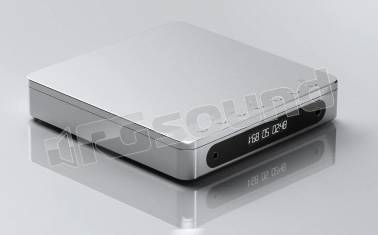 FiiO DM13 BT Silver
