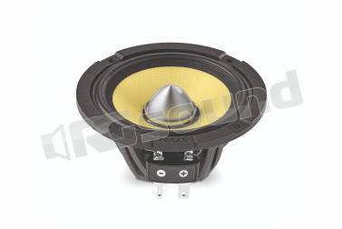 Focal HPVE3020