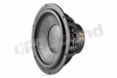 Morel ULTIMO PRO104