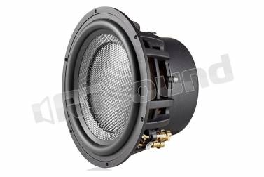 Morel ULTIMO PRO84