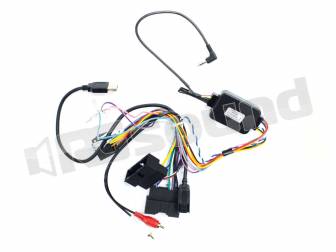 Pioneer CA-R-FOR.015