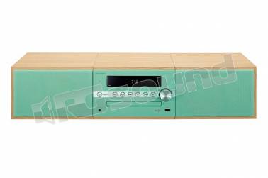 Pioneer X-CM56DG