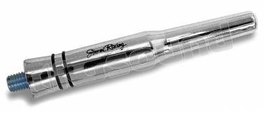 Simoni Racing ASR/13X