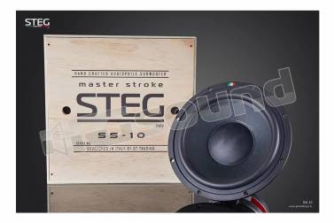 Steg SS-10