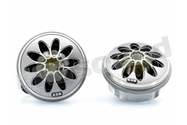 ESB car audio 9.1T-28